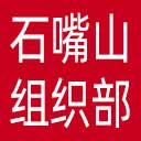 中共石嘴山市委组织部网站图标