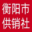 衡阳市供销社网站图标