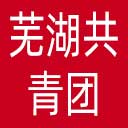 芜湖共青团网站图标