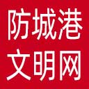 防城港文明网网站图标