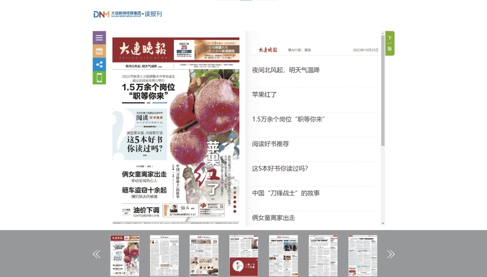 大连晚报网站首屏快照