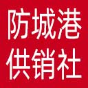 防城港市供销社网站图标