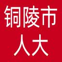 铜陵市人大网站图标