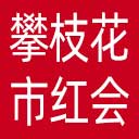 攀枝花市红十字会网站图标