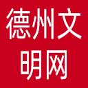 德州文明网网站图标
