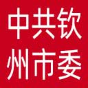 中共钦州市委组织部网站图标