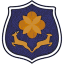 武汉学院网站图标