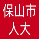 保山市人大网站图标