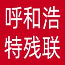 呼和浩特市残联网站图标