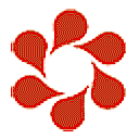 北京新阳光慈善基金会网站图标