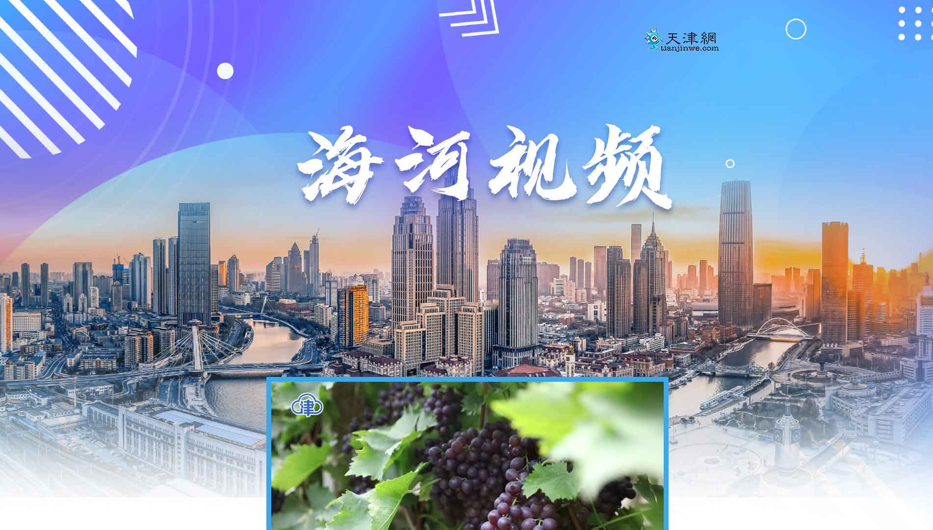 点击查看海河视频网站首屏快照大图 海河视频网站首屏快照