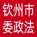中共钦州市委政法委网站图标