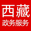 西藏政务服务网网站图标