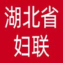湖北省妇联网站图标
