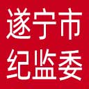 遂宁市纪委|遂宁市监委网站图标