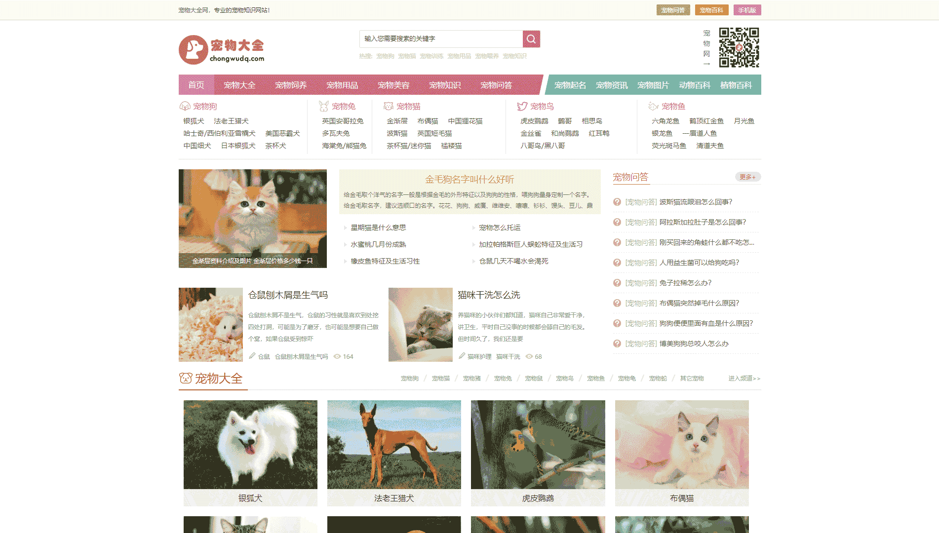 点击查看宠物大全网站首屏快照大图 宠物大全网站首屏快照