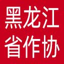 黑龙江省作协网站图标