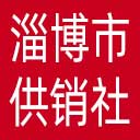 淄博市供销社网站图标