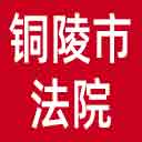 铜陵市法院网站图标