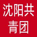沈阳共青团网站图标