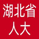 湖北省人大网站图标