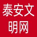 泰安文明网网站图标