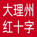 大理州红十字会网站图标
