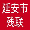 延安市残联网站图标