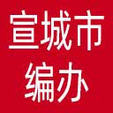 宣城市编办网站图标