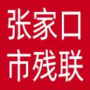 张家口市残联网站图标