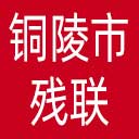 铜陵市残联网站图标