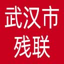 武汉市残联网站图标