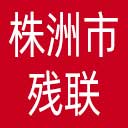 株洲市残联网站图标