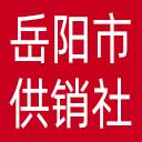 岳阳市供销社网站图标