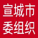 中共宣城市委组织部网站图标