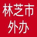 林芝市外办网站图标