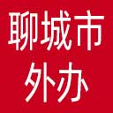 聊城市外办网站图标