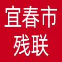 宜春市残联网站图标
