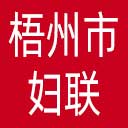梧州市妇联网站图标