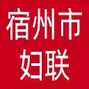 宿州市妇联网站图标