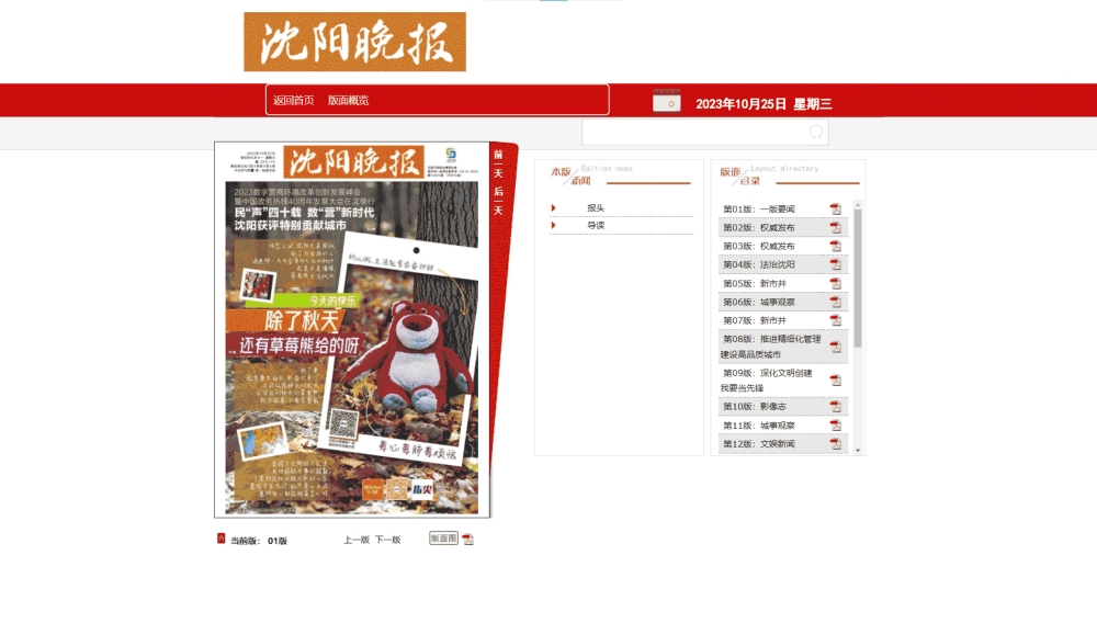 点击查看沈阳晚报网站首屏快照大图 沈阳晚报网站首屏快照