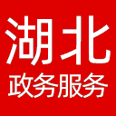 湖北政务服务网网站图标