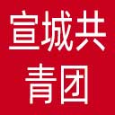 宣城共青团网站图标