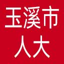 玉溪市人大网站图标
