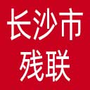 长沙市残联网站图标