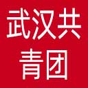 武汉共青团网站图标