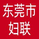 东莞市妇联网站图标