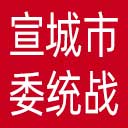中共宣城市委统战部网站图标