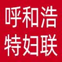 呼和浩特市妇联网站图标