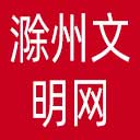 滁州文明网网站图标